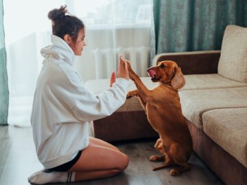 How to Keep Your Dog Healthy and Happy – The Ultimate Guide to Pet Care