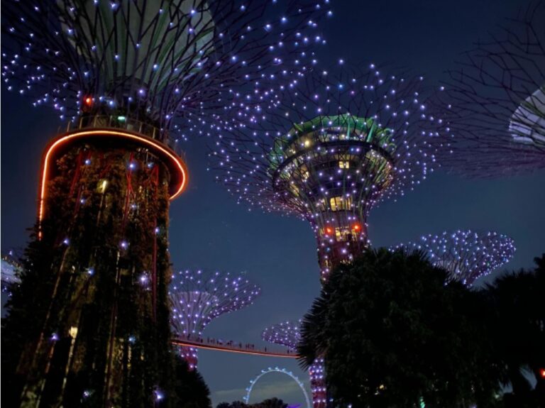 Enjoy Garden Festival with Private Chauffeur Services in Singapore