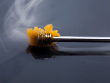 Understanding Cannabis Concentrates: Types, Extraction Methods, and Potency