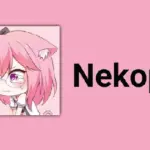 All You Need to Know About Nekopoi APK and its Features