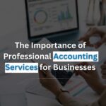 The Importance of Professional Accounting Services for Businesses
