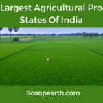 Largest Agricultural Producing States Of India