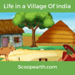 Life in a Village Of India