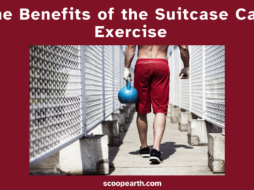 Suitcase Carry Exercise