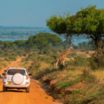 Top 5 Places to Visit in Uganda on a Self Drive
