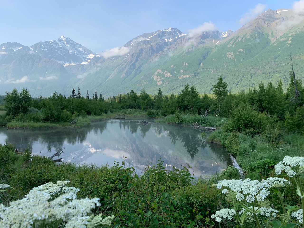 Top Things To Do In Anchorage