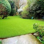 Paws and Play: Artificial Grass for Pets in the UK