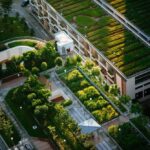 Get an Overview of Urban Gardening