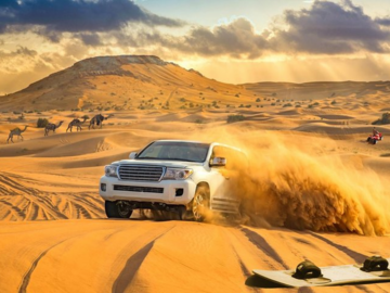 Introducing the Captivating Desert Safari Dubai Packages for 2023: Dubai's Premier Desert Adventure