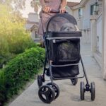 Unleashing Adventure: 10 Reasons to Consider Pet Joggers and Strollers for Your Dogs