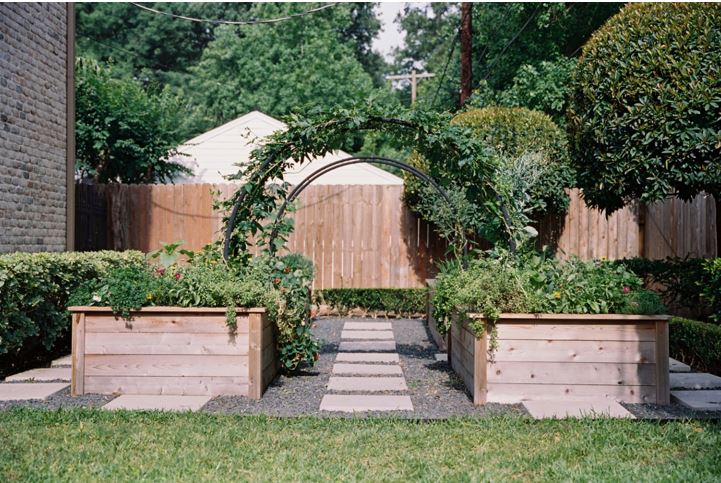 How To Elevate Your Garden By Building a 2x4 Garden Arch Trellis?