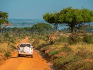 Top 5 Places to Visit in Uganda on a Self-Drive: Exploring the Beauty