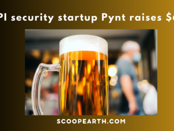 API security startup Pynt raises $6M