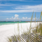 Live Cams: Discover the Beauty of Destin Live Cams
