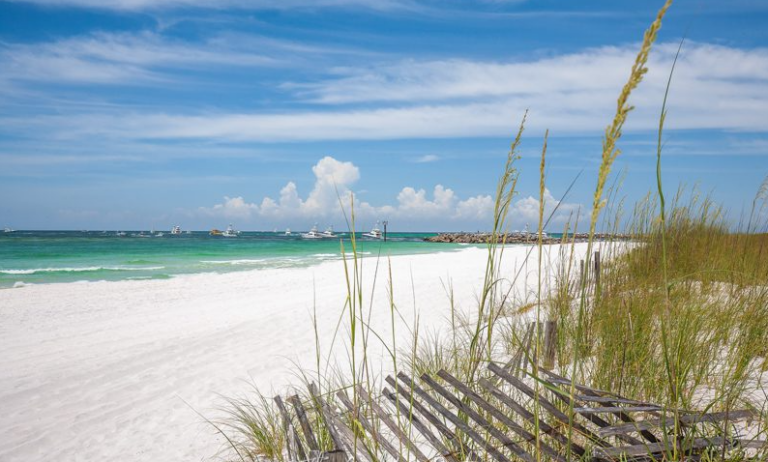 Live Cams: Discover the Beauty of Destin Live Cams