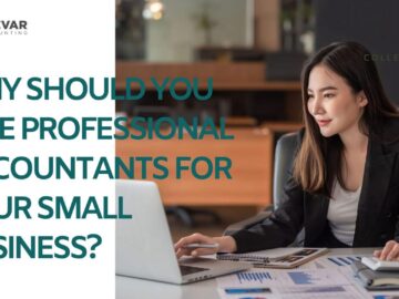 Why Should You Hire Professional Accountants for Your Small Business?