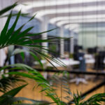 Energy-Efficient Practices for a Greener Office