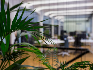 Energy-Efficient Practices for a Greener Office