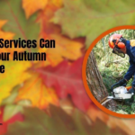 Do You Need Branch Support Systems? Explore the Importance of Orange County Tree Services