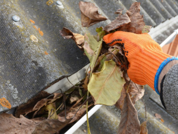 Revitalize Your Home: Gutter Cleaning Experts in Wheaton, IL