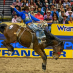 NFR Live Stream: Immerse Yourself in the Rodeo Spectacle