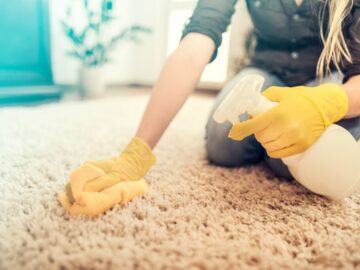 Carpet Cleaning Dos and Don'ts in Castle Rock and Parker