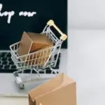 Exploring the Rising Secondary Economy of At-Home Deliveries