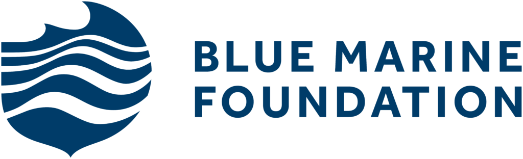 Blue Marine Foundation image