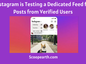 Instagram is Testing a Dedicated Feed for Posts from Verified Users