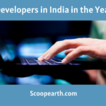 Developers in India in the Year 2024
