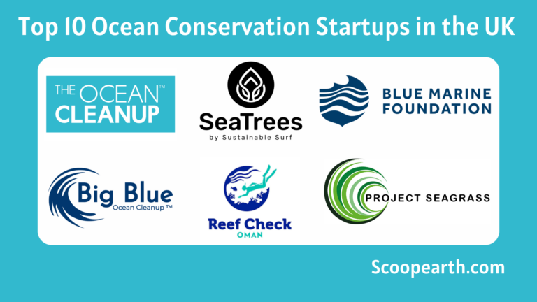 Ocean Conservation Startups in the UK