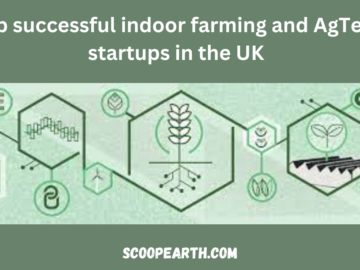 Top successful indoor farming and AgTech startups in the UK 