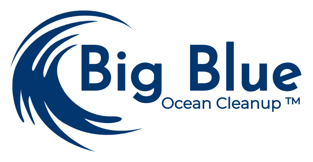Big Blue Ocean Cleanup image