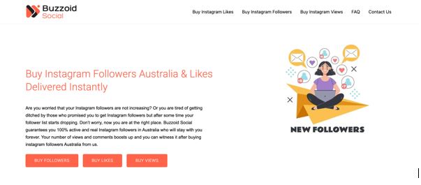 A Candid Review of Buzzoid Instagram Services