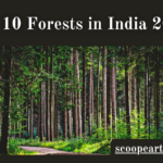 Forests in India