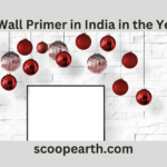 Top 10 Wall Primer in India in the Year 2024