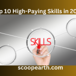 Top 10 High-Paying Skills in 2024