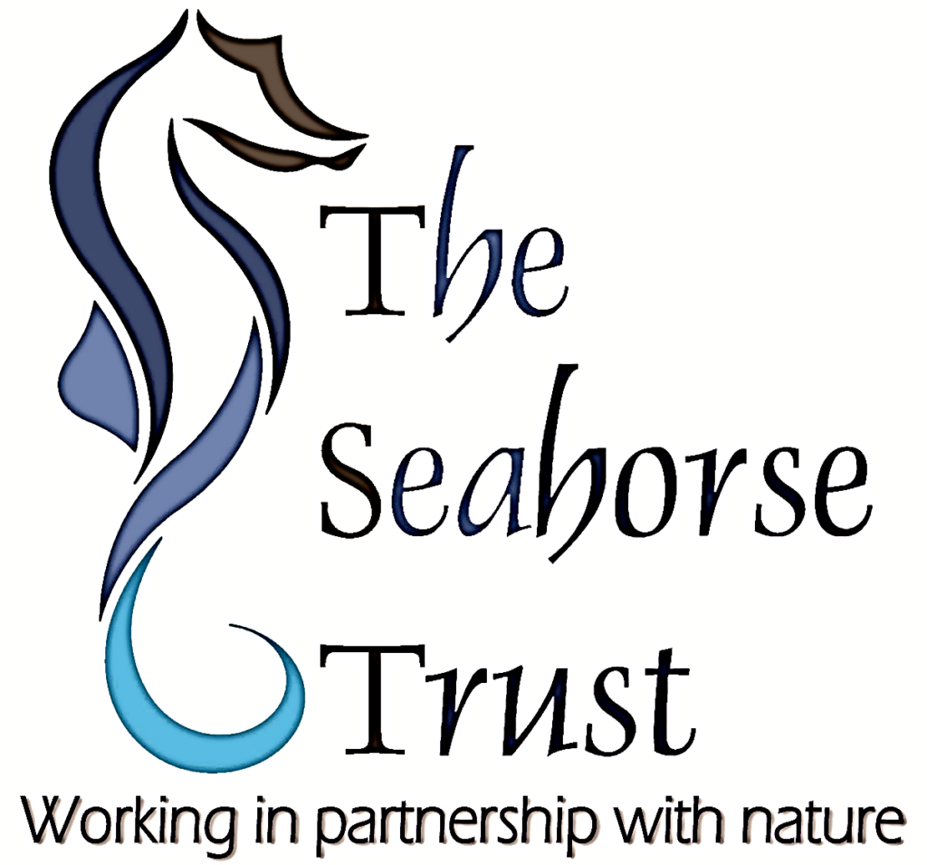 The Seahorse Trust image