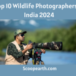 Wildlife Photographers in India 2024