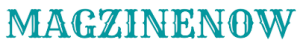 MN Logo removebg preview 300x49 1