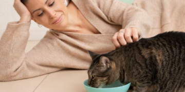 What Human Foods Can Cats Eat? 