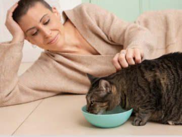 What Human Foods Can Cats Eat? 
