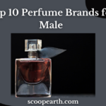 Perfume Brands for Male