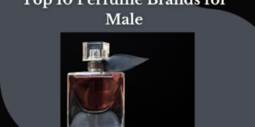 Perfume Brands for Male