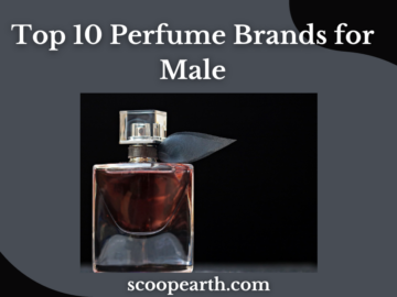 Perfume Brands for Male