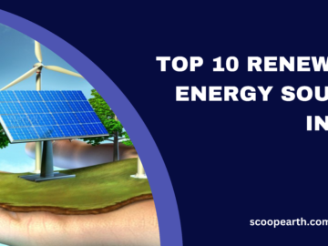 Top 10 Renewable Energy Sources in 2024