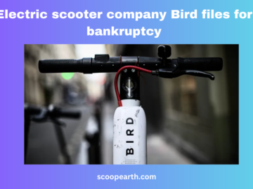 Electric scooter company Bird files for bankruptcy