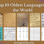 Oldest Languages in the World
