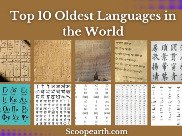 Oldest Languages in the World