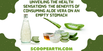Unveiling the Health Sensations: The Benefits of Consuming Aloe Vera on an Empty Stomach